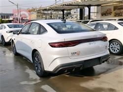 بي واي دي كوين L DM-i